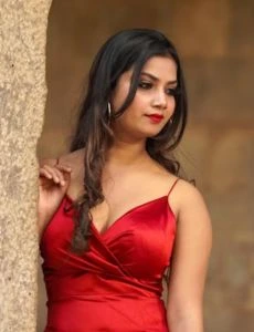 call girl service in Tenkasi